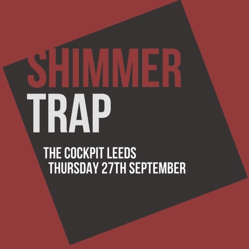 TheShimmerTrap's profile picture. Every last Thursday of the month at @CockpitLeeds - the best in indie, mod, rock & roll, punk, motown, ska, beat and classic hip-hop from 1960-89