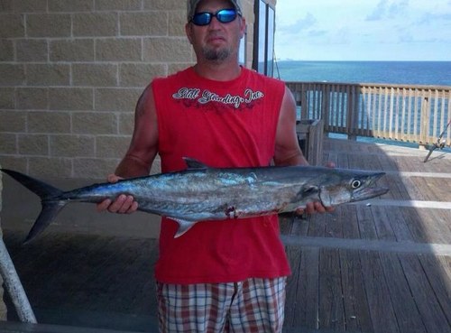 shaunwalker333's profile picture. 