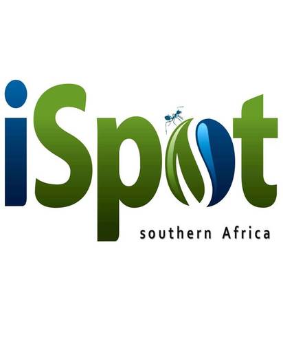 Ever been blown away by a brilliant bird, baffling bug or beauteous beast?! iSpot is your gateway to share nature &learn to identify your local plants &critters