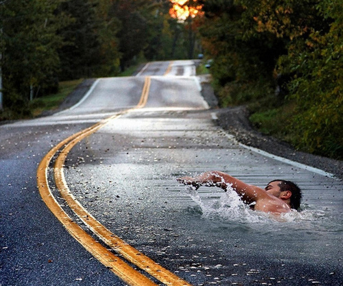 ferraro_andrew's profile picture. 