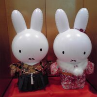 H86o-4649 (@h86o4649) 's Twitter Profile