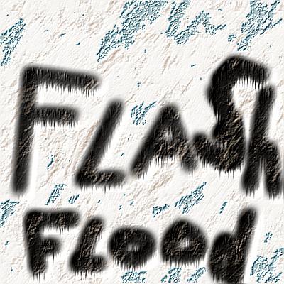 Flash Flood Records is a local record label based in York County South Carolina.  Flash Flood serves any genre of music, and provides many services to artists.