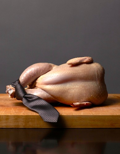 New York Times bestselling cookbook. Watch the shocking trailer.