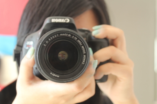 Eyuab's profile picture. Dona de lojas (Tulipapéis e @OGatonoJardim) | Escrevo livros (Bagunça e Petrichor) https://t.co/KCABRHk4gC