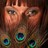 KettiSoln's profile image
