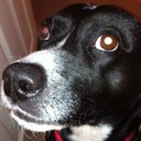 Ensign Ben - @DrBenEnsign - Twitter