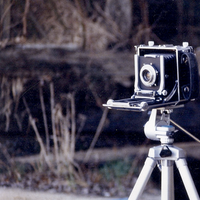 DigitalPreserveProj (@digpreservation) 's Twitter Profile