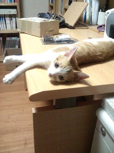 진실이 통하는 세상 만들어 가요! 우리 함께...