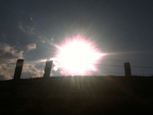 Mendioox's profile picture. 