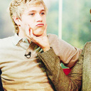 sorry, i'm to busy loving Niall Horan so i dont have the time to write a bio. [Lovato, Cyrus, Duff, Meester, Bush]
