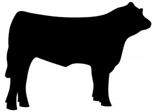 Livestock