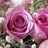 amc_no2's profile image