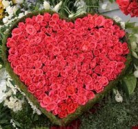 истина, рейки, духовное развитие, медитации, фаловлю в ответ:)