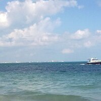 Help Cancun Ayuda (@helpcancunayuda) 's Twitter Profile