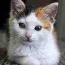 Debra Nugent - @TheRealDNugent - Twitter