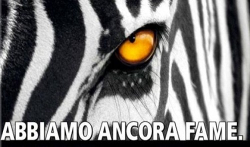 Vincere non è importante,è l'unica cosa che conta!