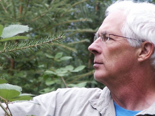 DonaldRobak's profile picture. Real estate and RE note investor.
Let me help you grow your local business online.