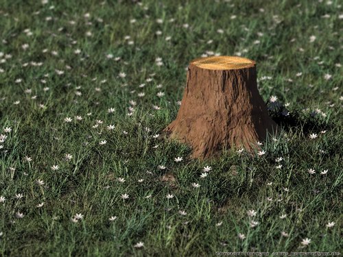 my stump, my stump.