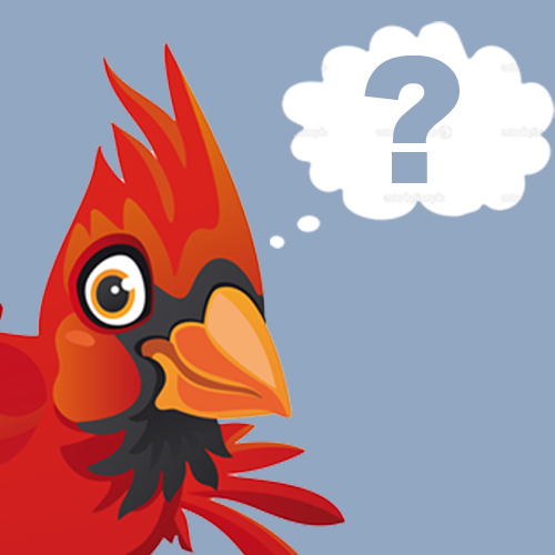 Do you like the St. Louis Cardinals & voicing your opinion? Well, then this is the Twitter account for you. 
RT the original question in your answer!