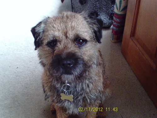 BKushTanMan's profile picture. 