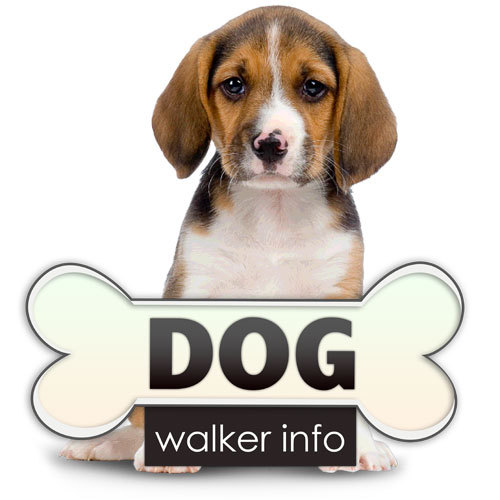 Dog Walker Info - the website to guide you down the right track with your pooches! what walks, what training, what advice you need!