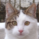 Nina Weber - @NiniWeber - Twitter