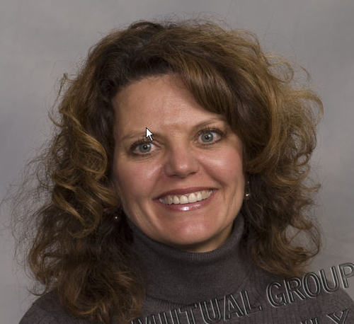 AnnHessel's profile picture. Sales Market Manager at CUNA Mutual Group