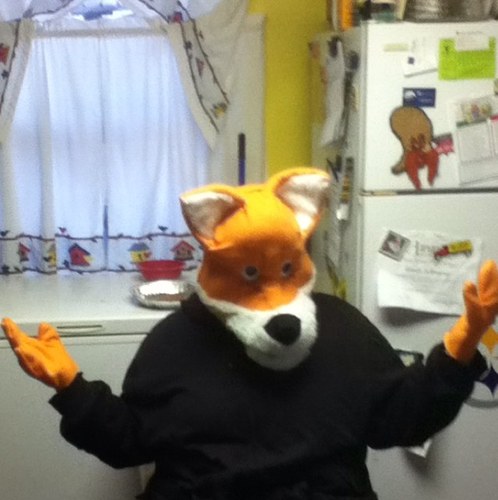 the_word_of_fox's profile picture. @emmydafox is my main account, this is the word of the fox, where i post stuff going into a book i'm writing. please post funny things for the book.