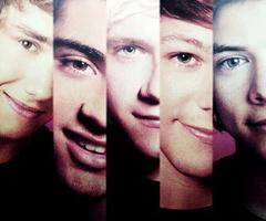 I'm an Italian directioner. I'm born on the 12th January, like @zaynmalik :3 One direction had stole my heart, someone who help me to find it? ♥
