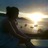 sandrafoy2's profile image