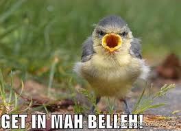 Hey guys Im Irish 14 and blonde,single and, I LOVE SHOPPING!!!I  See that follow button I'd click that. Follow back.