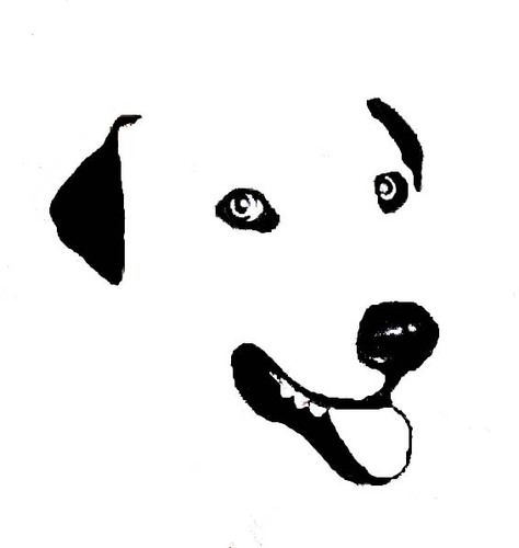 ElroyBeefstu's profile picture. Evolution's so obvious, even a dog like me could discover it.  @HollyDunsworth is my chronicler and chef.  I love your cheese and @kstacey7 | #VoyageOfTheMutts