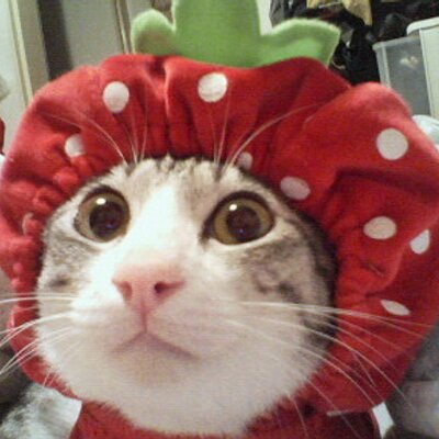 副店長のプロフィール写真