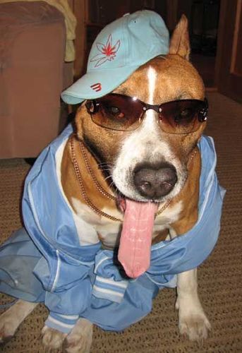 The Ozaukee Meet Up News is an user interactive newspaper site that collects useful information about meet-ups going on in Ozaukee County. Enjoy!