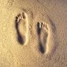 SMWalkingTours's profile picture. Santa Monica Downtown Walking Tours! Guided, exciting/informative Daily Santa Monica Walking Tours in Downtown Santa Monica, Main Street, &/or Montana Ave!