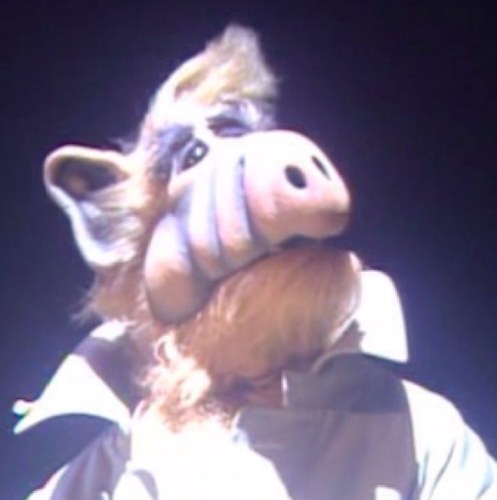 Alf_Cohen's profile picture. je suis un extraterrestre. J'ai un point commun avec les juifs, très peu d'humains m'aiment et m'aident, beaucoup me haïssent et je veux rentrer chez moi.