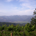 Napa Pat (@napapattours) Twitter profile photo Napa Pat (@napapattours) Twitter profile photo