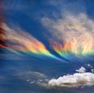 madmarsu's profile picture. 