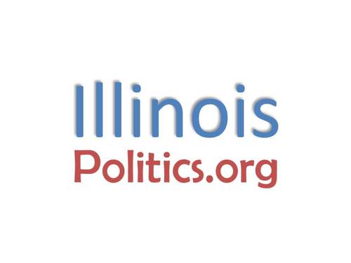 All you need to know going into the November elections about Illinois political races.