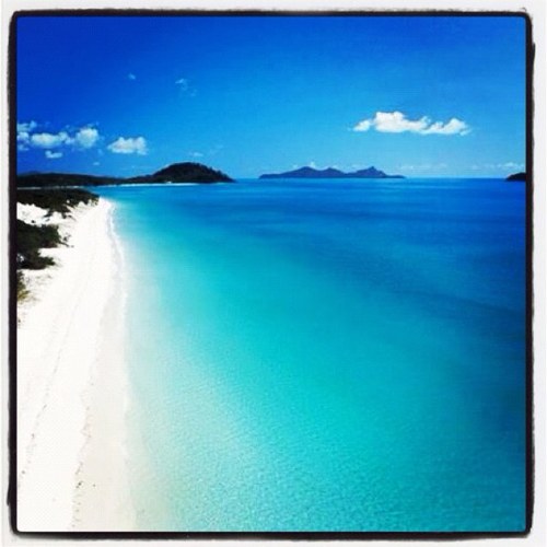 Daydream_Is_Qld's profile picture. Travel Wholesaler specialising in amazing Qld product, especially the beautiful Whitsundays.