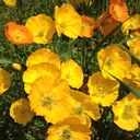 Ebony Johnston - @johnston_ebony - Twitter