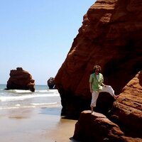 Michael Easter (@codetojoy) 's Twitter Profile