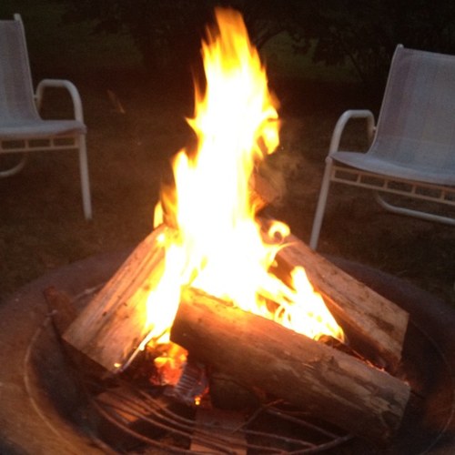 lisko73's profile picture. Nothing better than listening to the noise of a summer night~