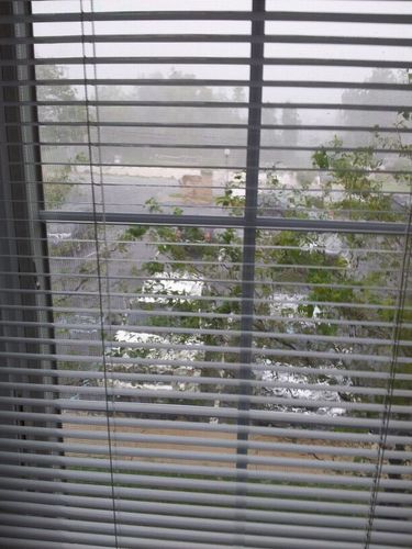 Yasmeenq828's profile picture. Fun,out going,loves to hang out with family and friends.