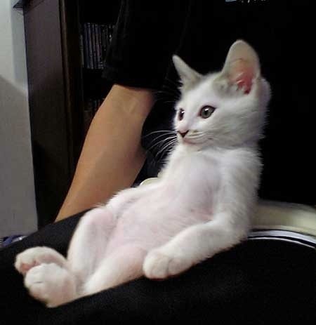 ryuou19xx's profile picture. ixa1-4にてプレイ中
twitter初心者ですが楽しんでいきたいと思いまふo(^▽^)o