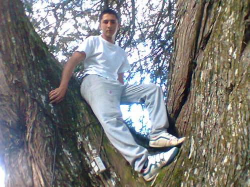 pwdo7's profile picture. nací en bogota viví durante 14 años vine a vivir a medellin desde mis 15 años  soy un poco loco relajado pero muy sencillo ...