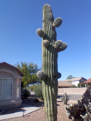 YumYumTruckMarg's profile picture. Distributor of Quality Italian Ices on the Margate Beach since 1997.