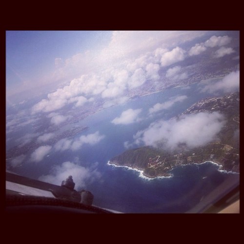 silviomosqueram's profile picture. 