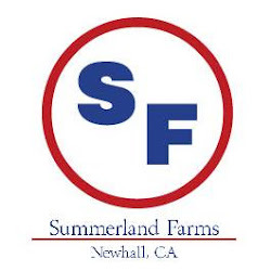 Summerland Farms is a No Drama Hunter/Jumper, Lesson, Training, Transportation and Horse Show Barn dedicated to teaching modern horsemanship skills.