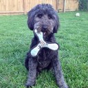 Daniel Straka - @dstraka29 - Twitter